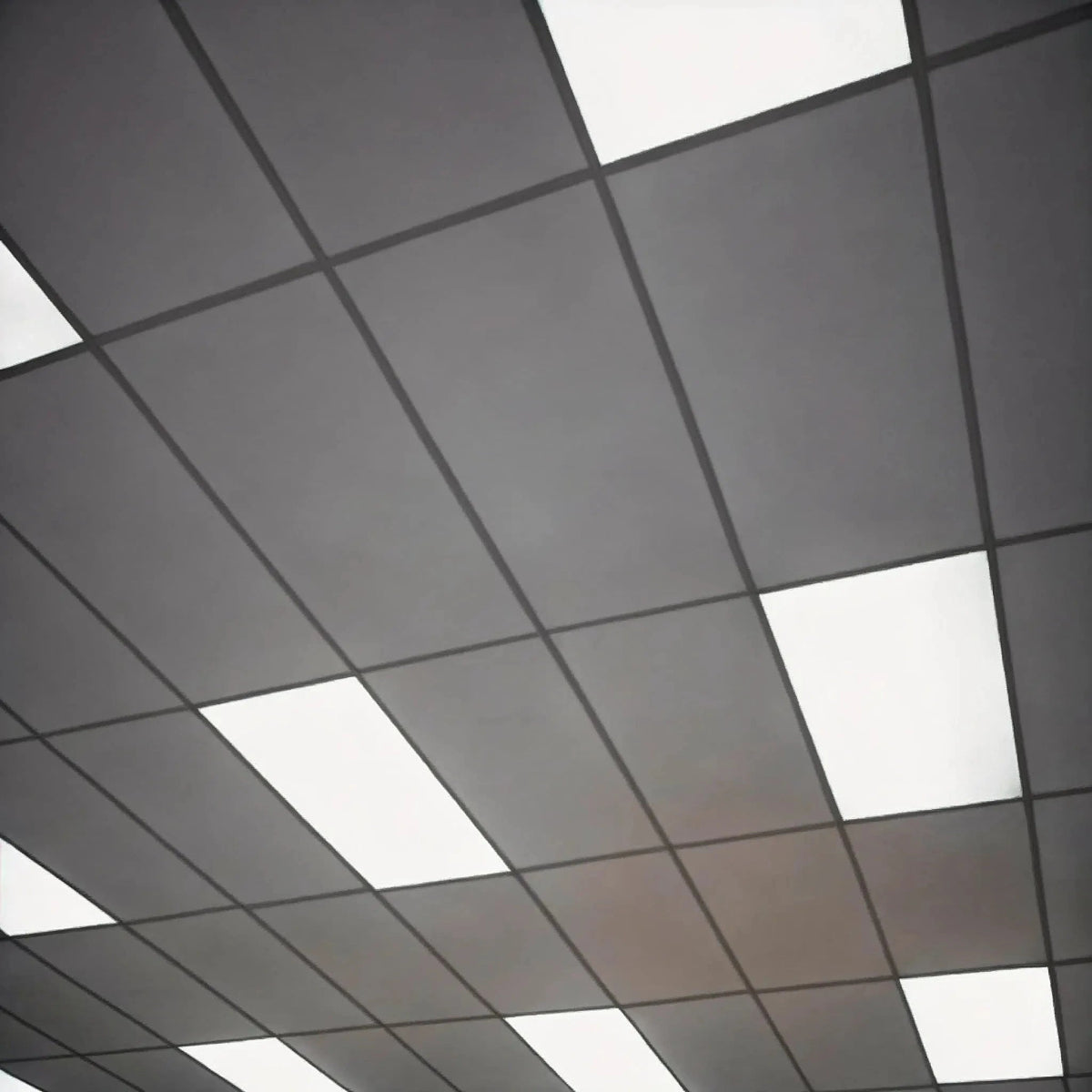 Light