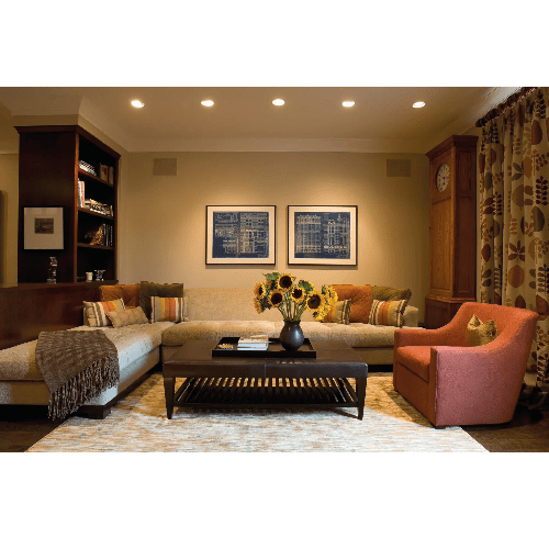 Living room with a sofa, armchair, coffee table, and decorative elements.