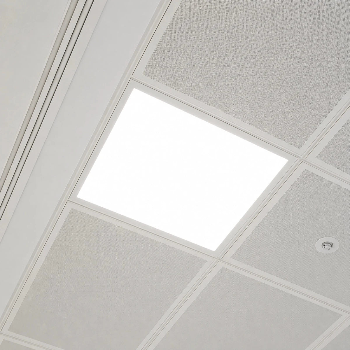 LED OSRAM Panel Light 36W - 3 Years Warranty (AM460560055)
