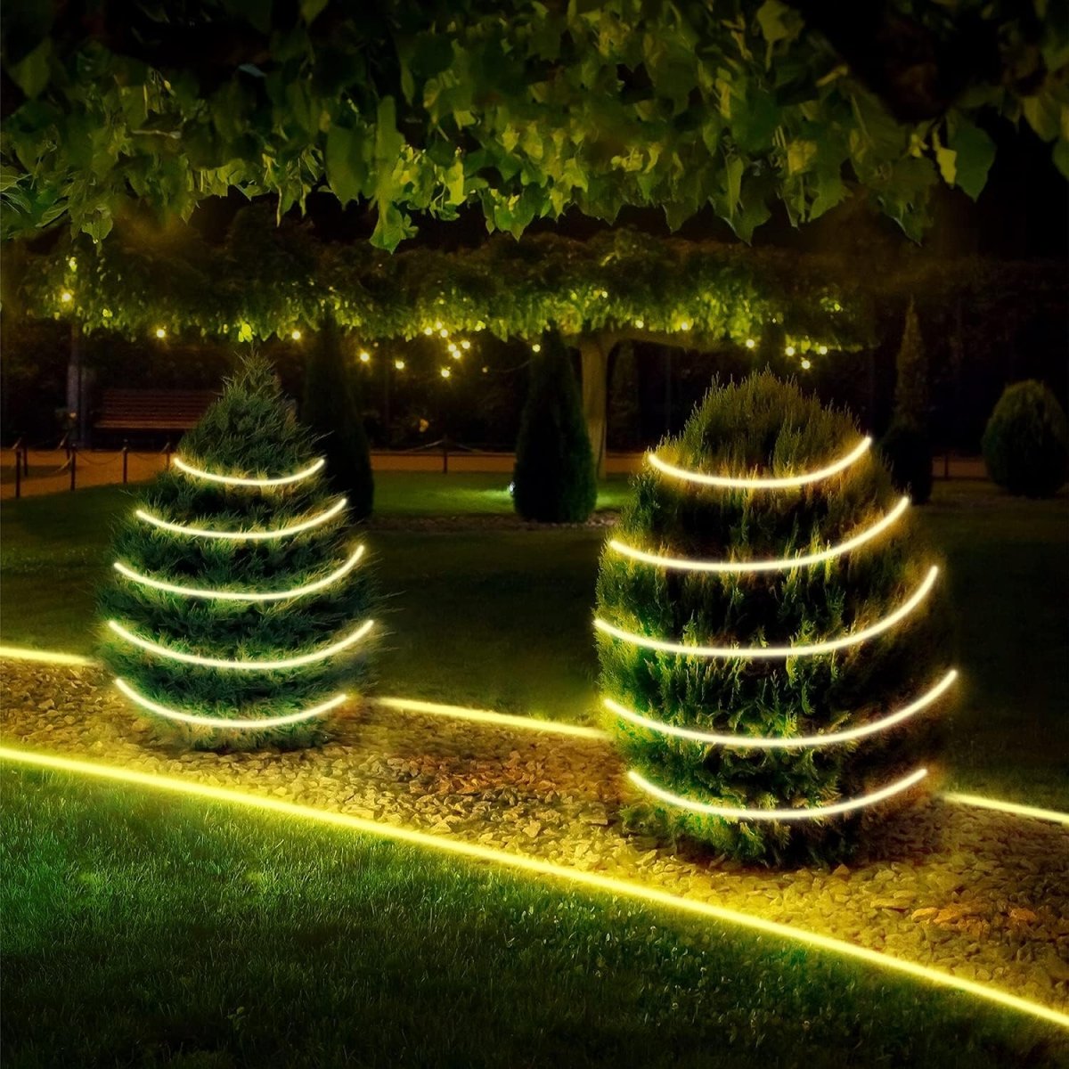 Garden scene with illuminated plants and pathway at night