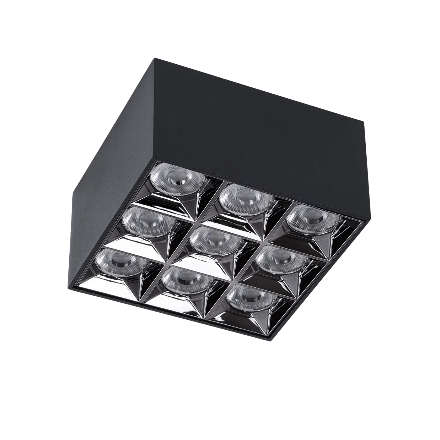 Black Ceiling Surface Mounted Light