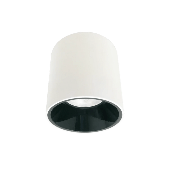 Outdoor Surface Mounted