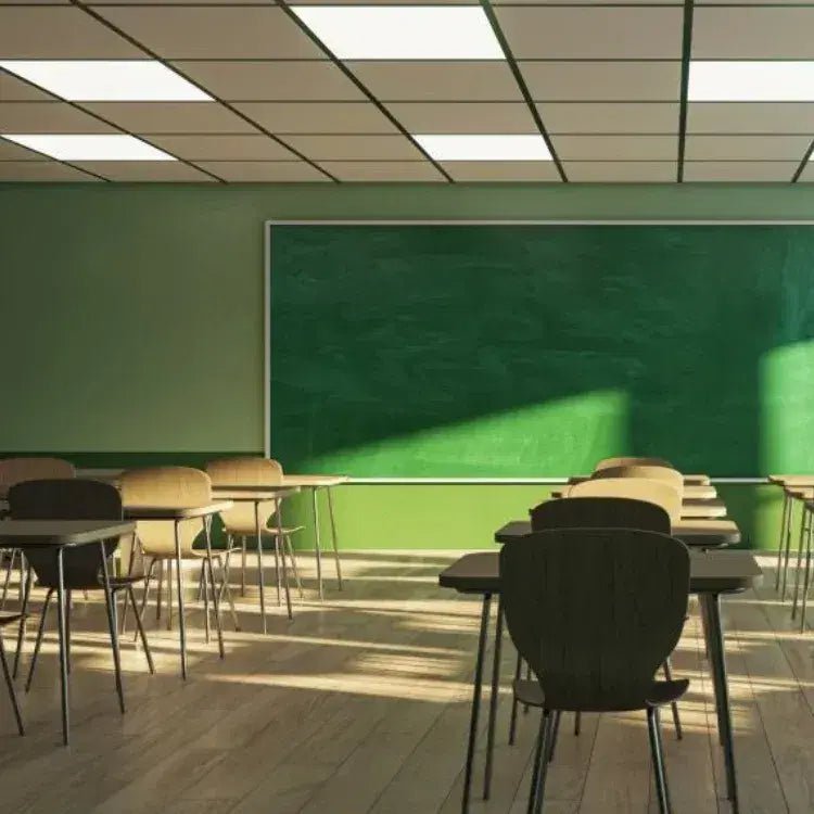 School