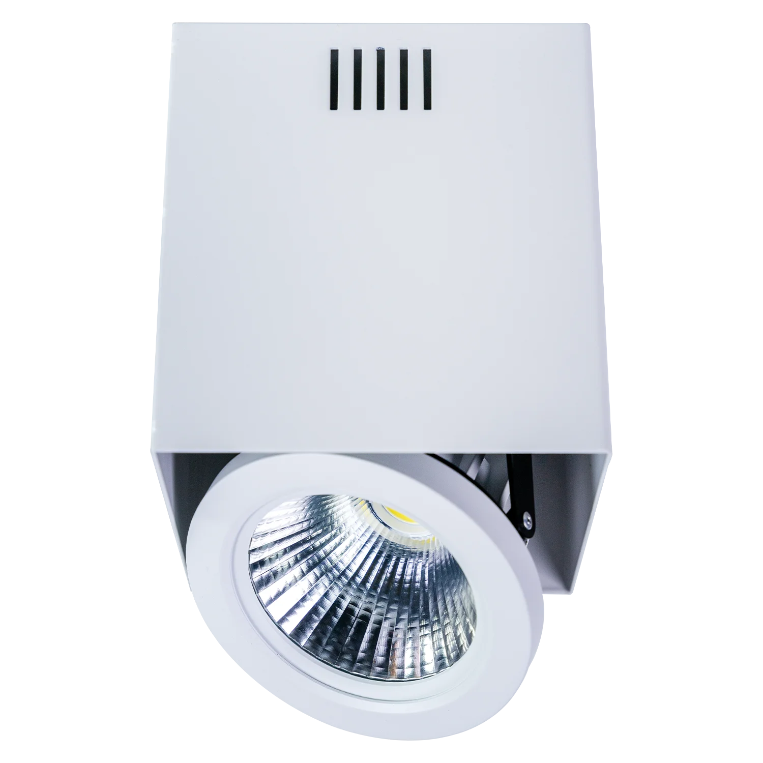 إطار إنارة سقف ظاهرة قابل للتدوير وقاعدة AR111 - تصميم عصري (C7655)