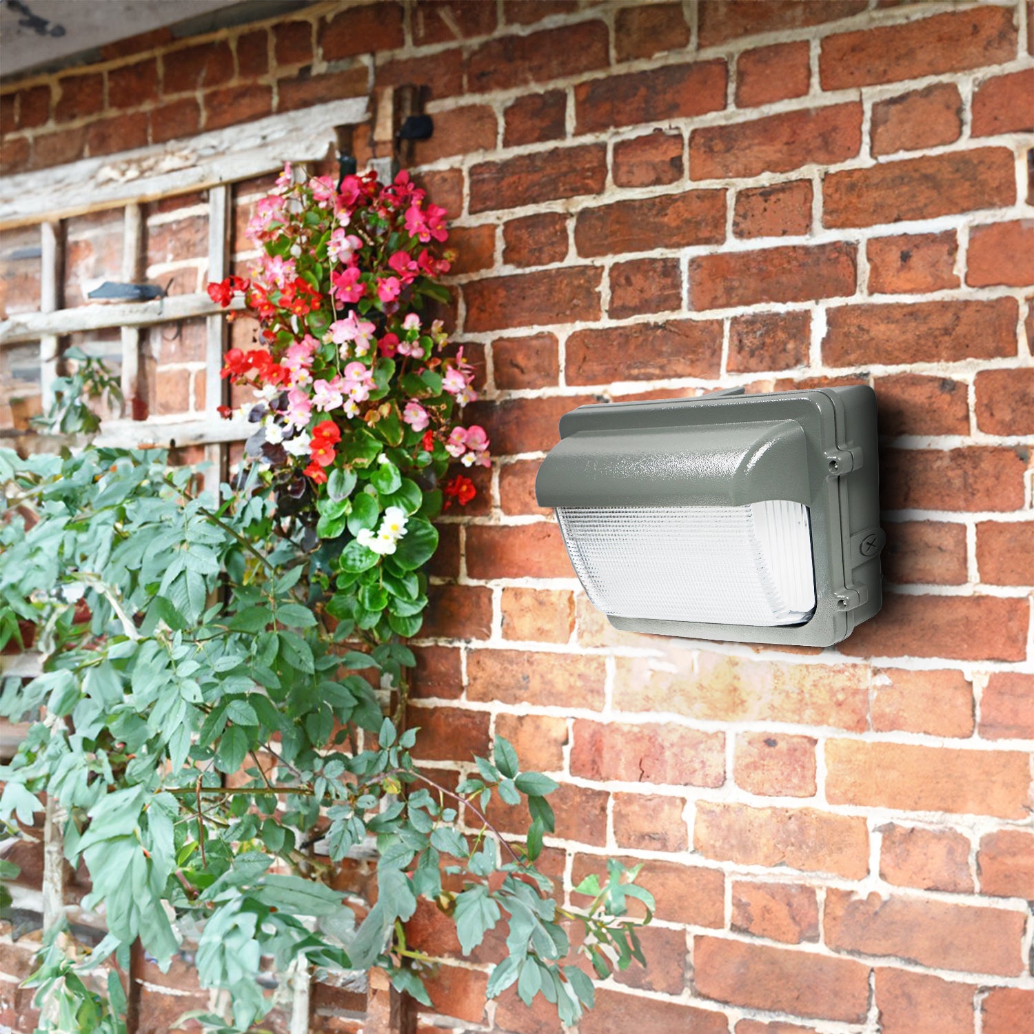 Buy Ultralight Dimmable LED Wall Light (WPT06) - Best  from Ultralight