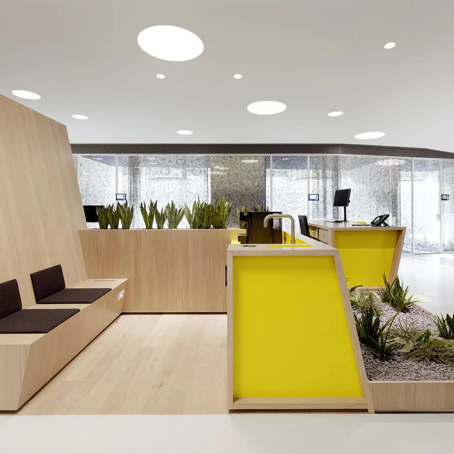 Soft ambient ceiling lighting

