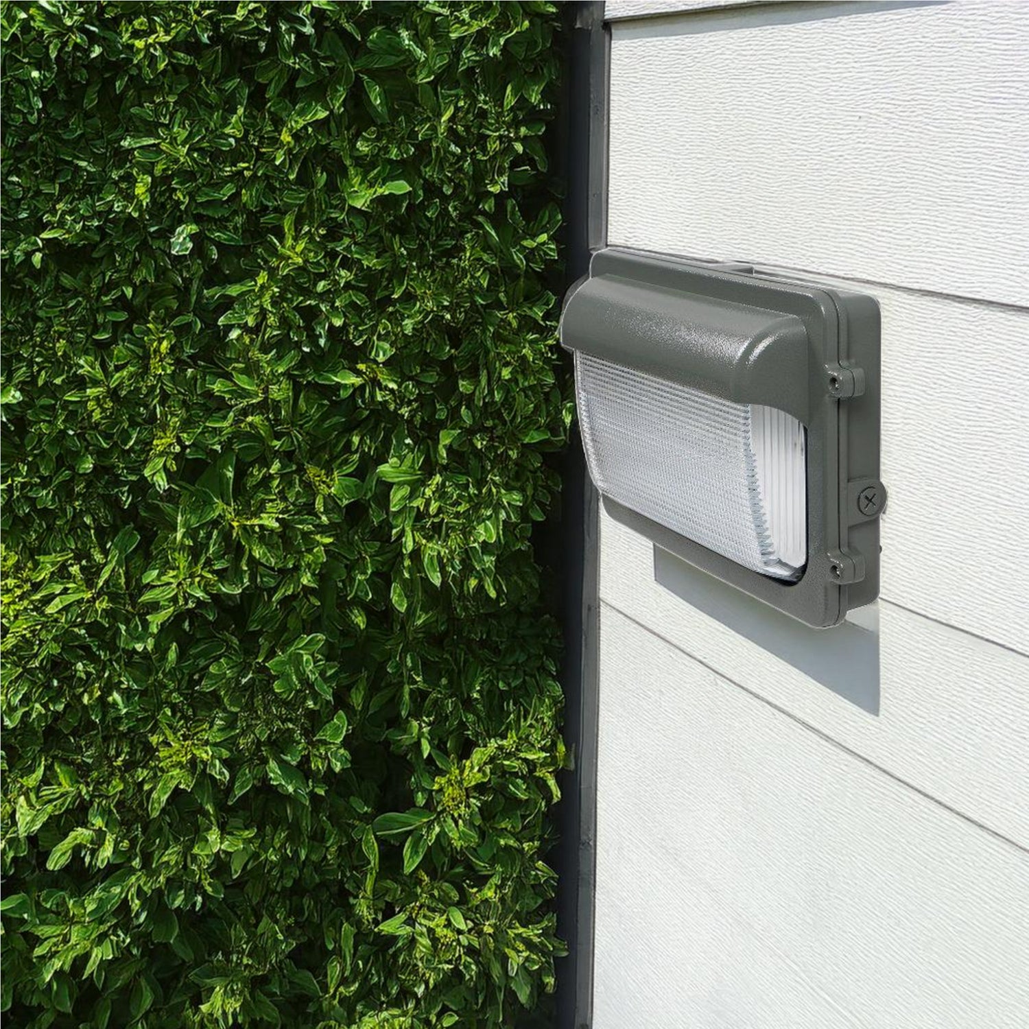 Buy Ultralight Dimmable LED Wall Light (WPT06) - Best  from Ultralight