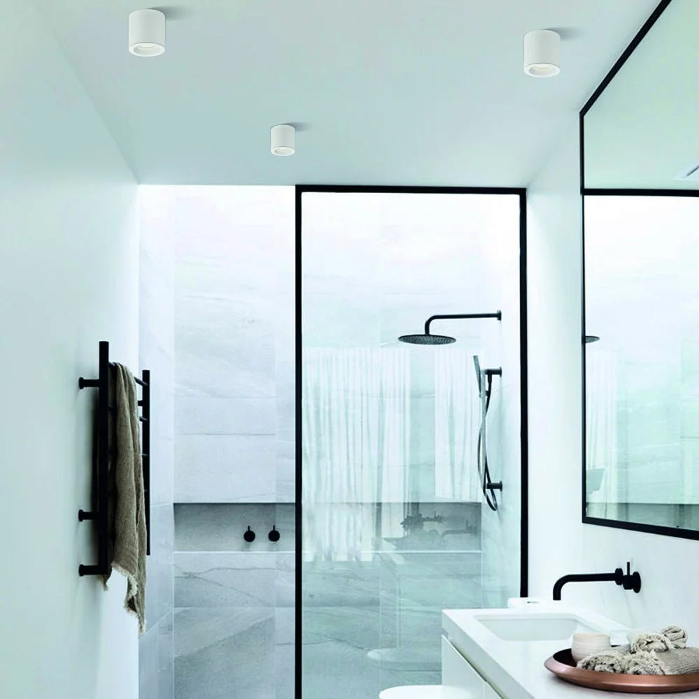 كشاف سقفي كلاسيكي (BZ201) – إضاءة داخلية سطحية بقاعدة لمبة AR111 – لون أبيض أو أسود