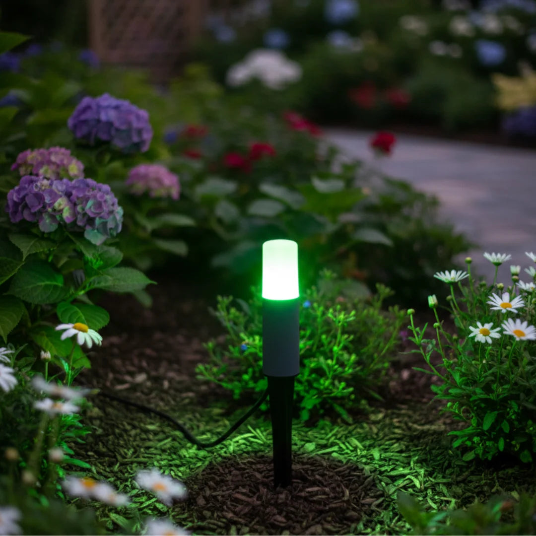 Green LED light in a garden with flowers and plants