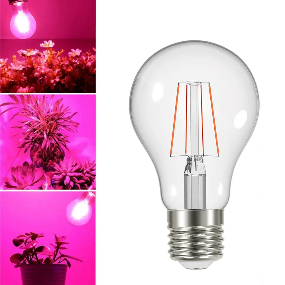 Clear LED light bulb with pink lighting effect on plants