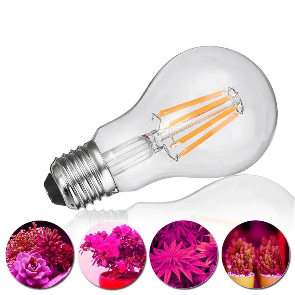 LED light bulb with color-changing effect on a white background