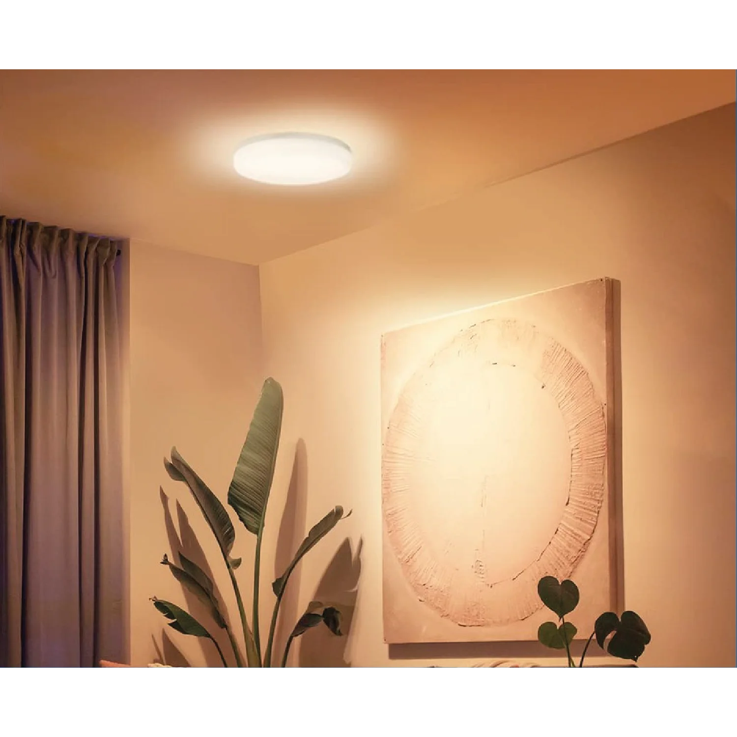 Ultralight Led Surface Mounted for Outdoor use IP66(CL All)