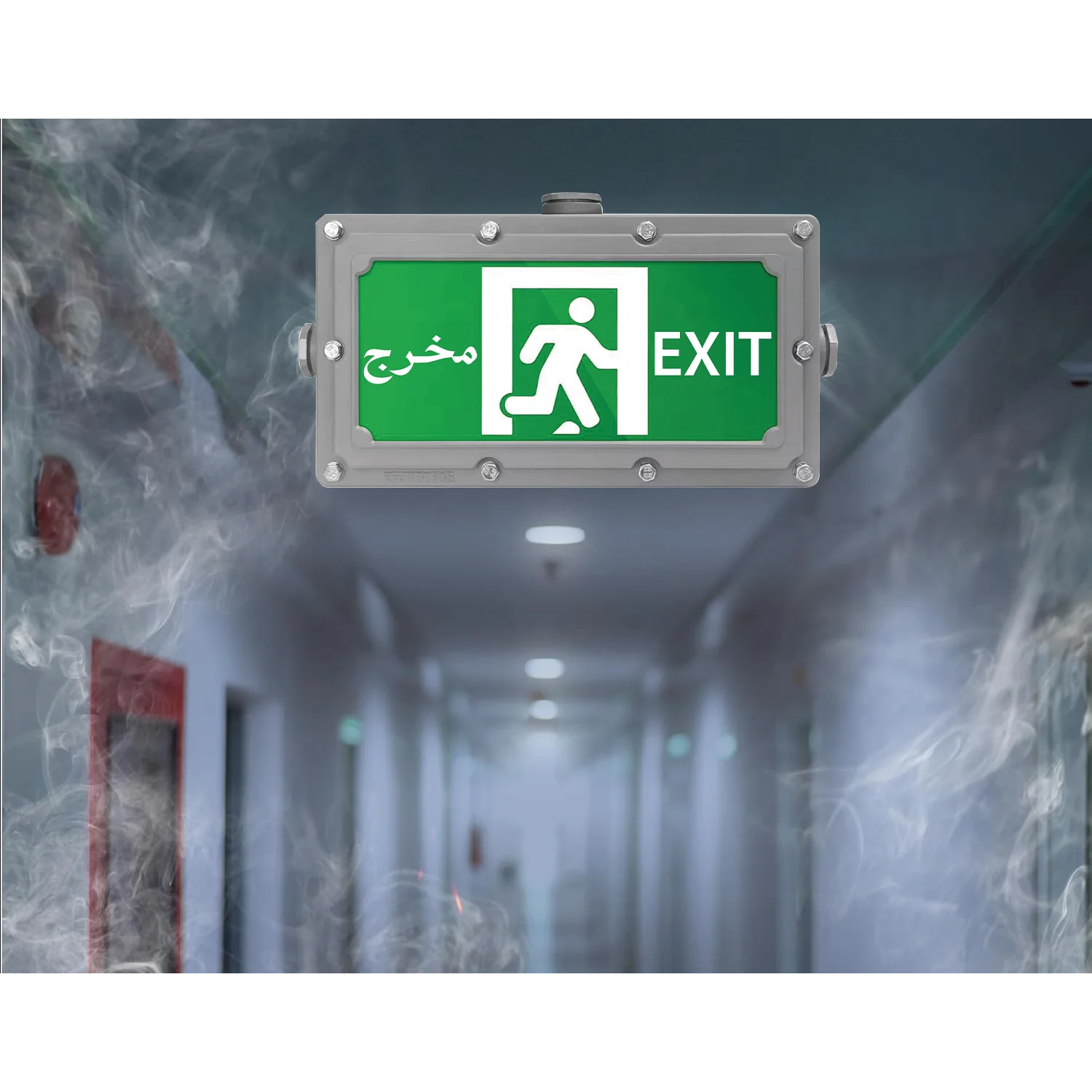 لوحة مخرج طوارئ مقاومة للانفجار الترالايت 2 واط IP65 (JY-3315)