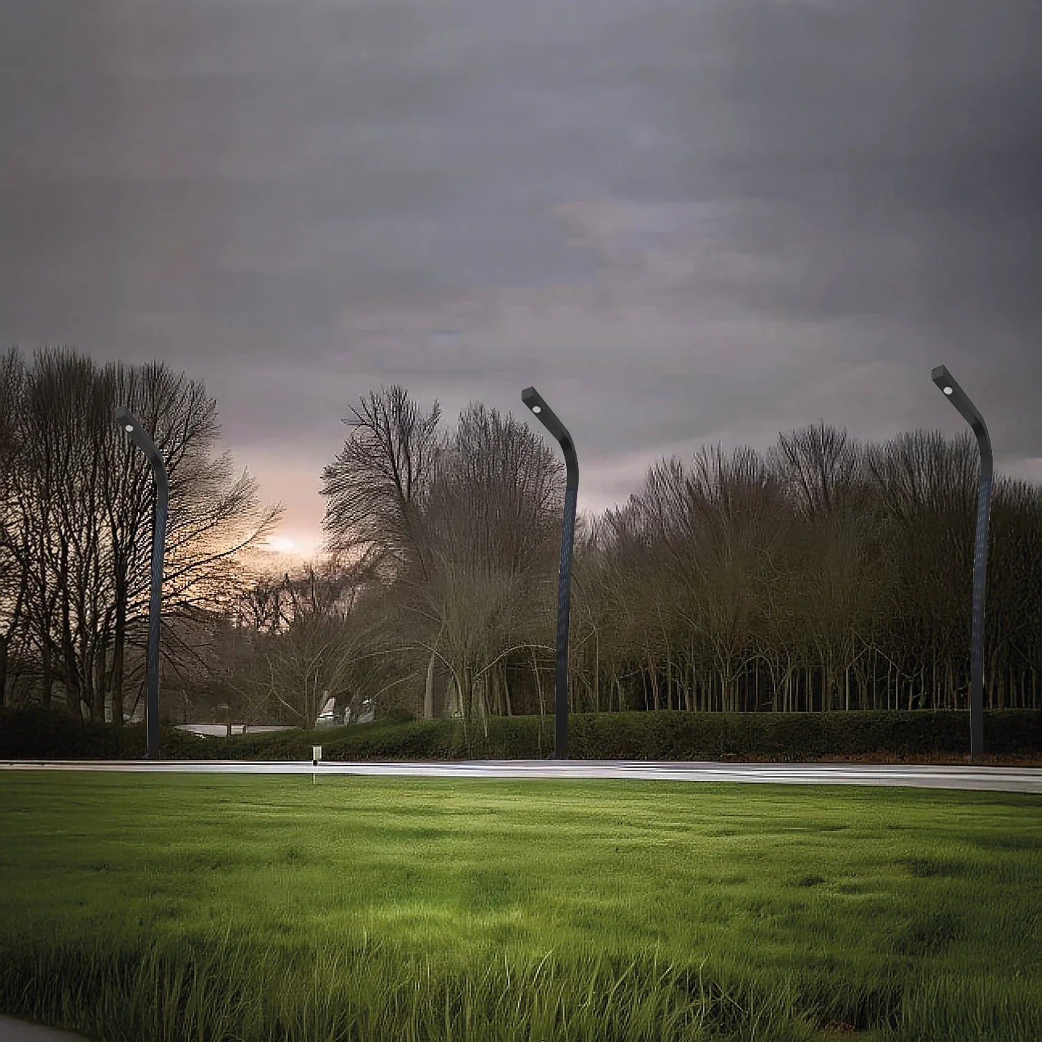 عامود إنارة شوارع بالطاقة الشمسية 4 متر 16 واط IP65 (WLWQ)