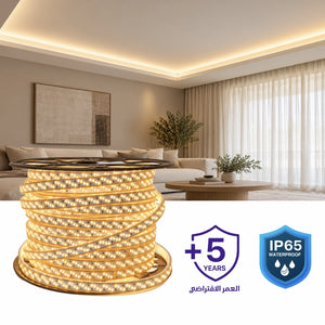 Ultra Light LED Strip Light 220V 50M (SMD2835-216P) | Outdoor IP65 Flexible Lighting
