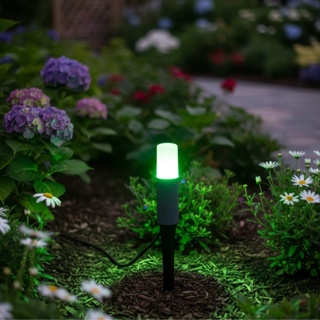 Green LED light in a garden with flowers and plants