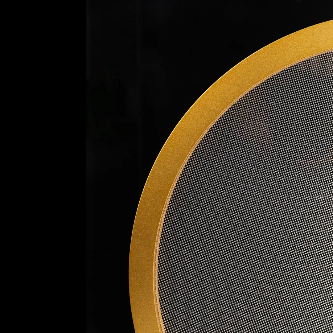 Close-up of a round mesh filter with a gold rim on a black background