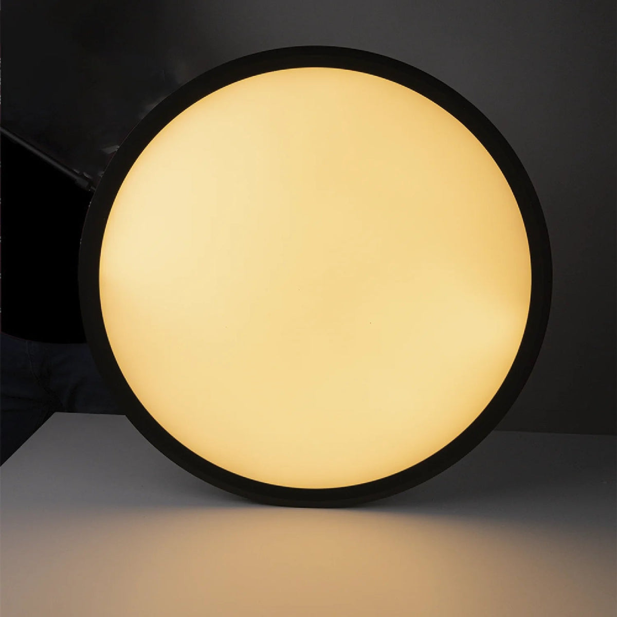 LED Pendant Light (BR6129) – Modern Suspended Decorative Ring Light with High CRI, Osram LED Chip, and Opal Diffuser