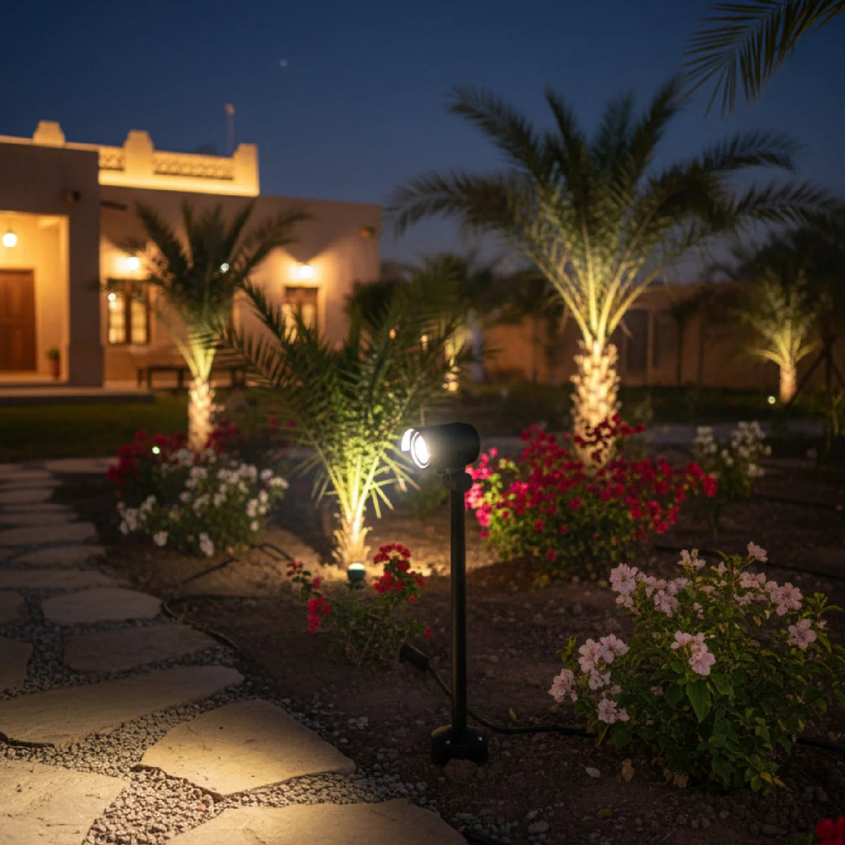 Garden at night with decorative lights, palm trees, and a building in the background.