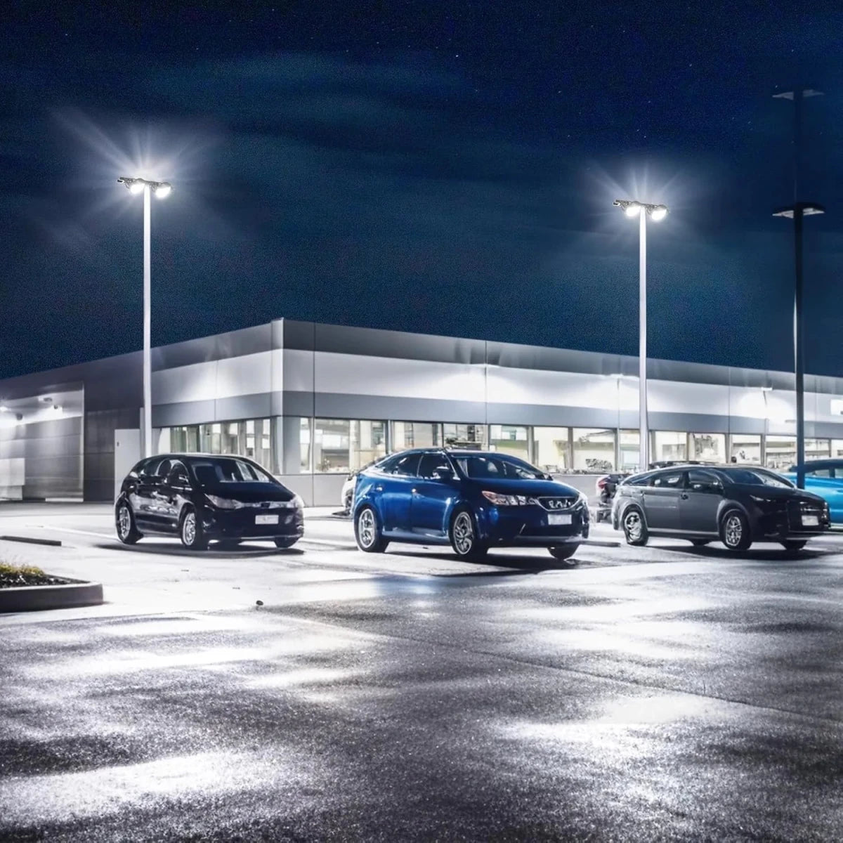 Three cars parked in a row outside a building at night.