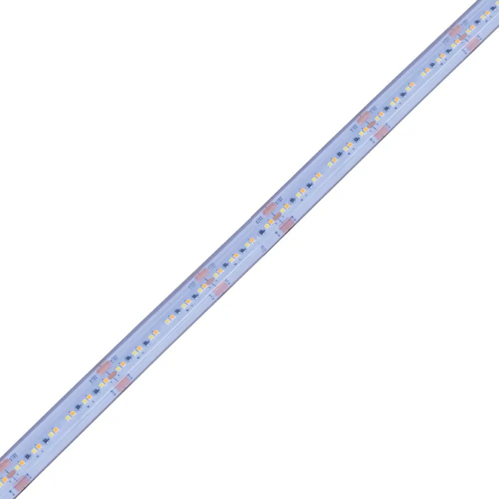 Strip of LED lights on a white background