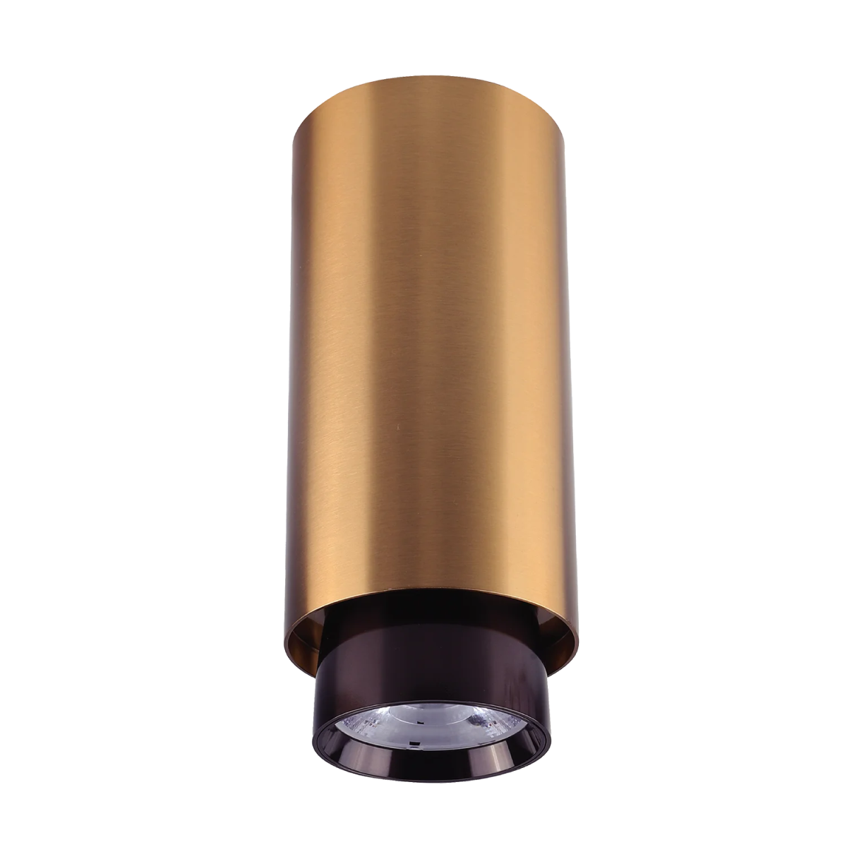 Cylindrical ceiling light fixture with gold upper part and black lower part on a white background