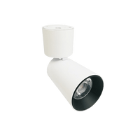 Ultra Light Rotatable Ceiling Light 12.5W (BR6454) | Bridgelux LED | Adjustable Spotlight