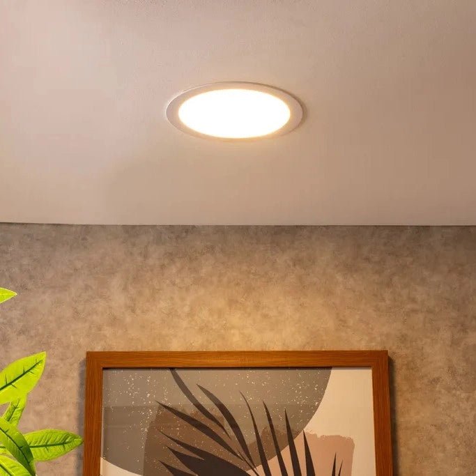 Ceiling light fixture on a neutral wall with a framed picture and plant