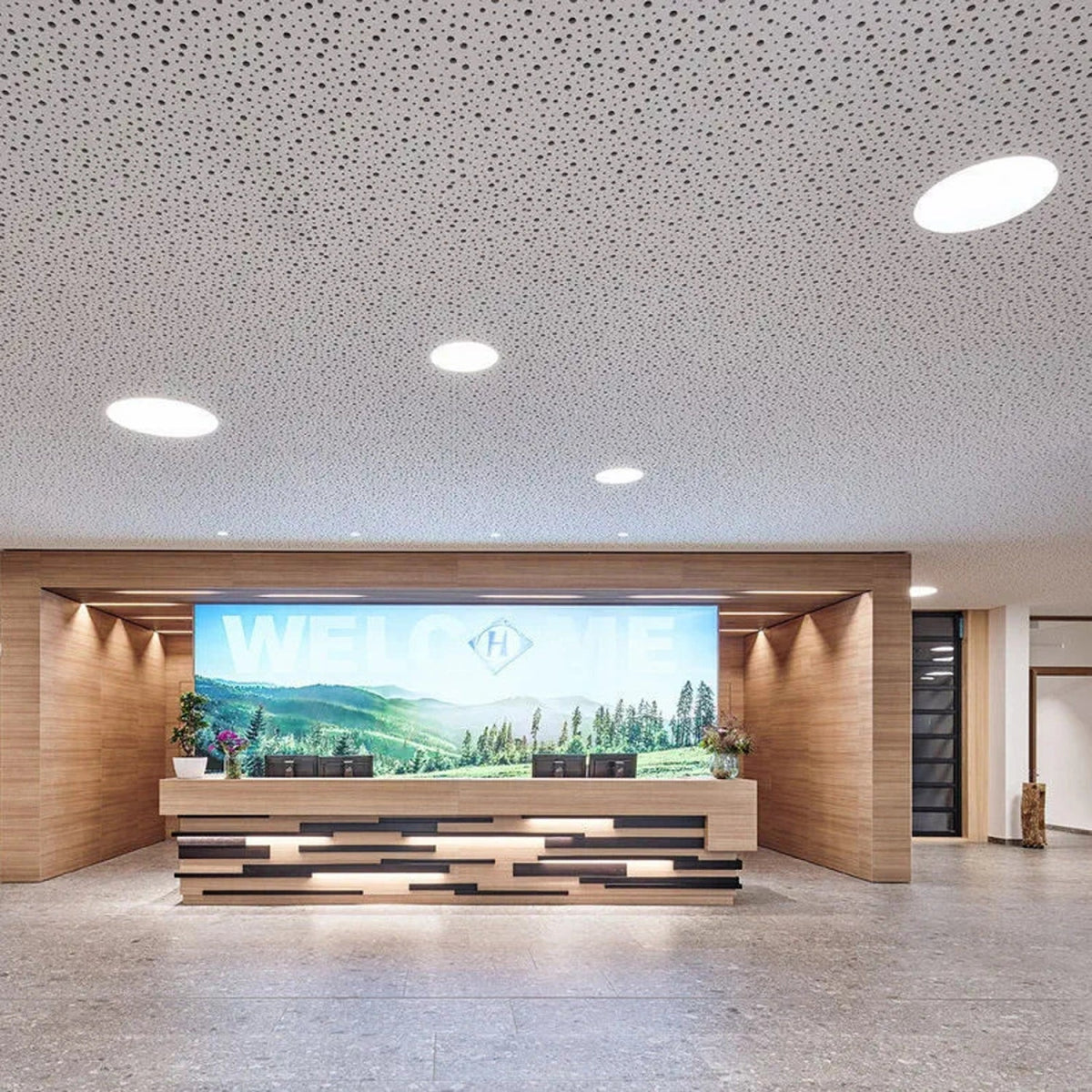 Ultra-slim ceiling fixture

