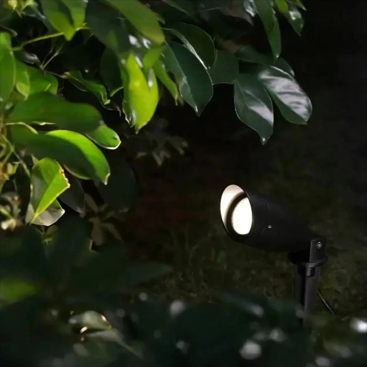 modern inground LED fixture