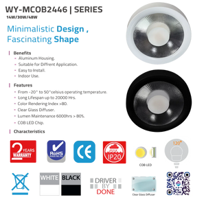 Light fixture with specifications and features on a white background