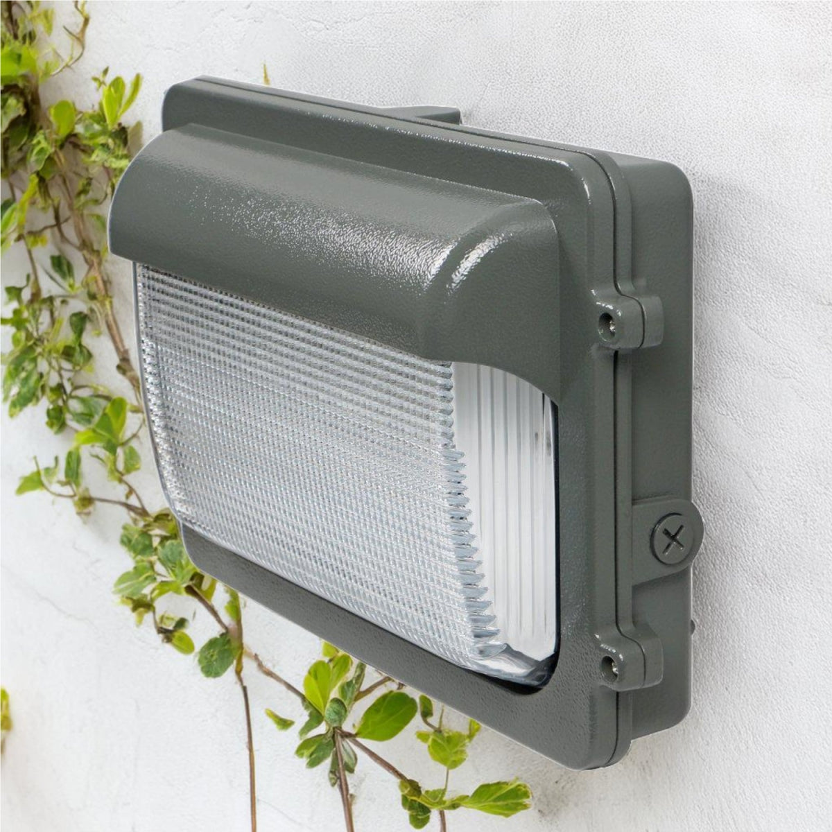 Buy Ultralight Dimmable LED Wall Light (WPT06) - Best  from Ultralight