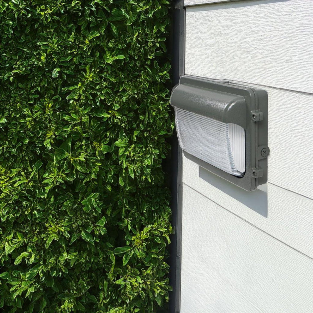 Buy Ultralight Dimmable LED Wall Light (WPT06) - Best  from Ultralight