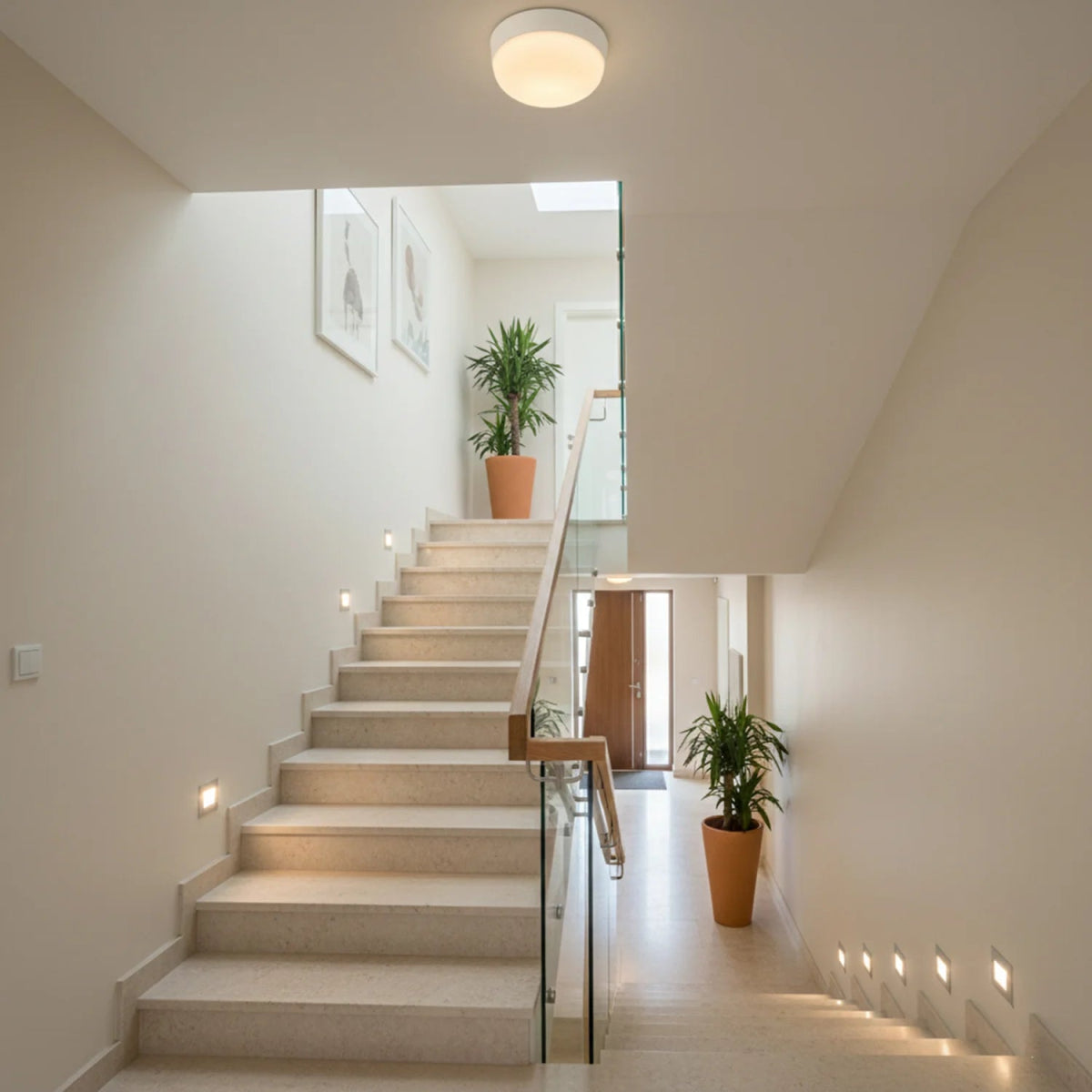 Modern staircase with glass railings and potted plants in a well-lit hallway.