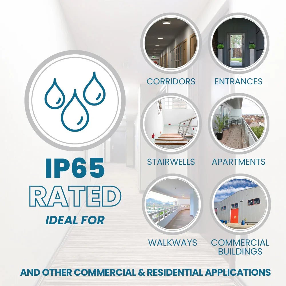 Advertisement for IP65 rated products ideal for corridors, entrances, stairwells, apartments, walkways, and commercial buildings.