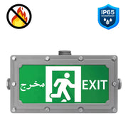 Ultralight Explosion Proof Emergency 2W IP65 - High durability (JY-3315)