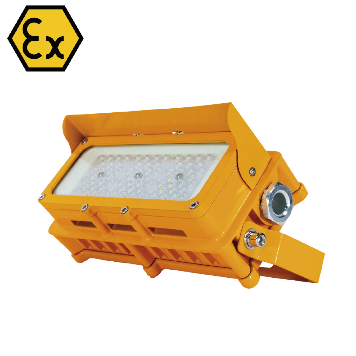 Ultralight Explosion Proof Lamp 30W IP66 - Industrial Safety Lighting (SM8185)