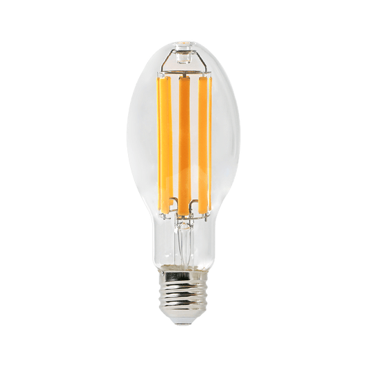 Clear LED light bulb on a transparent background