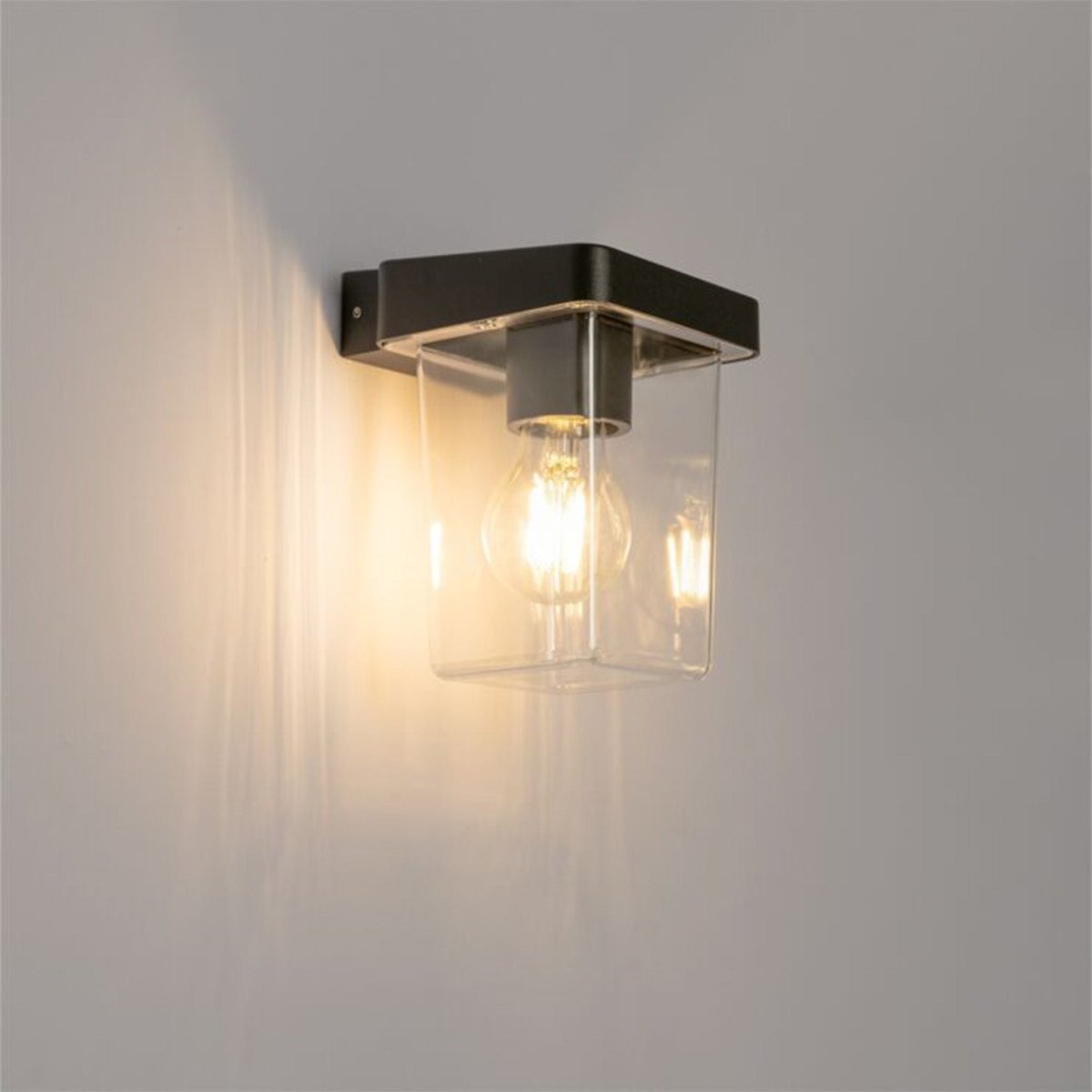 Ultralight Frame Outdoor Wall Light (FYL0238B)