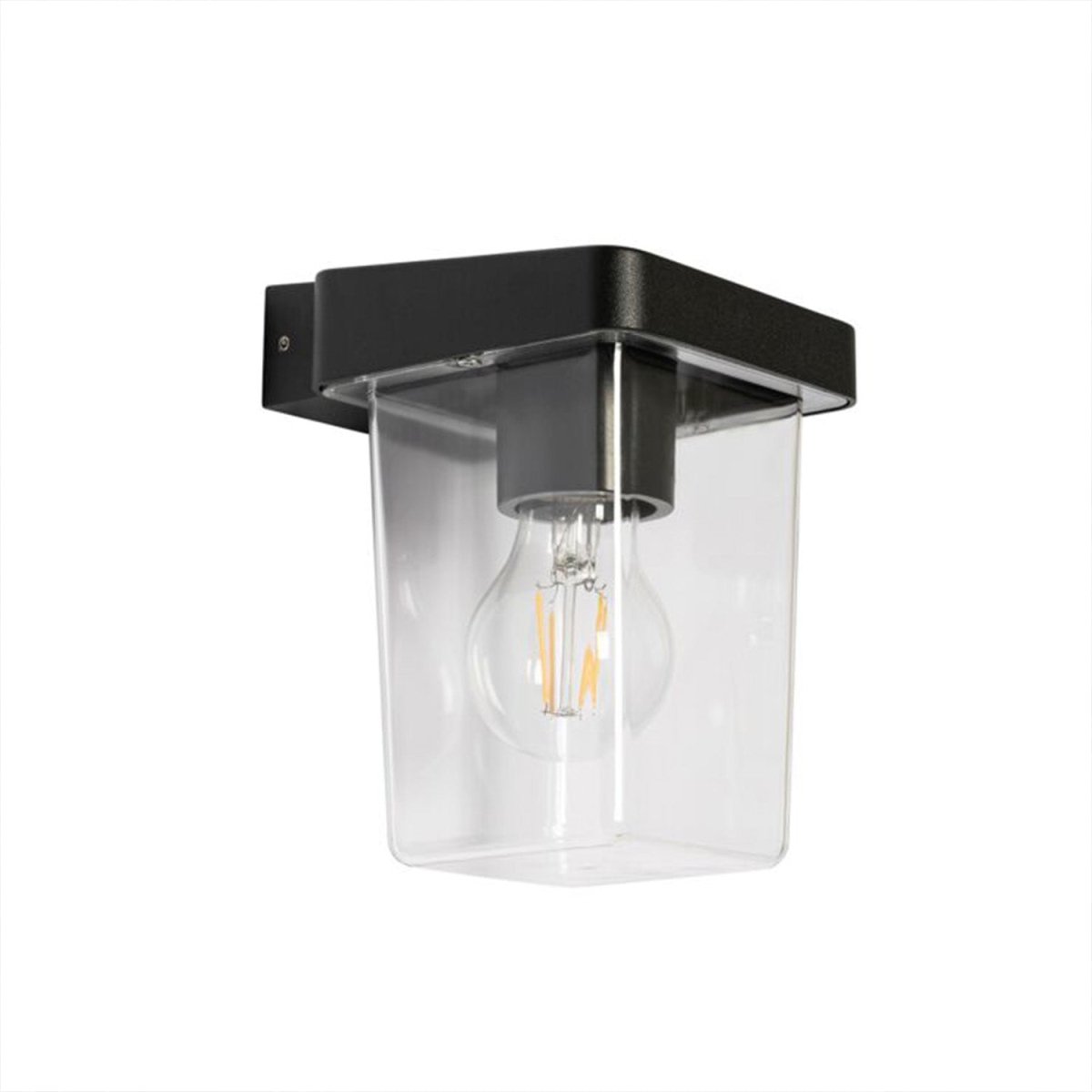 Ultralight Frame Outdoor Wall Light (FYL0238B)