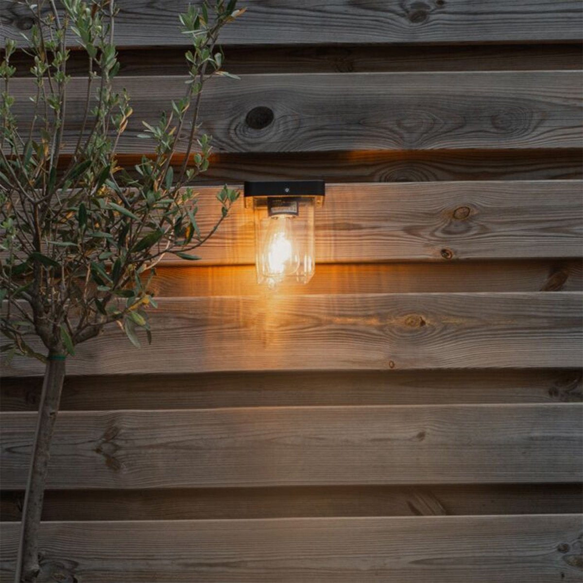 Outdoor LED light fixture

