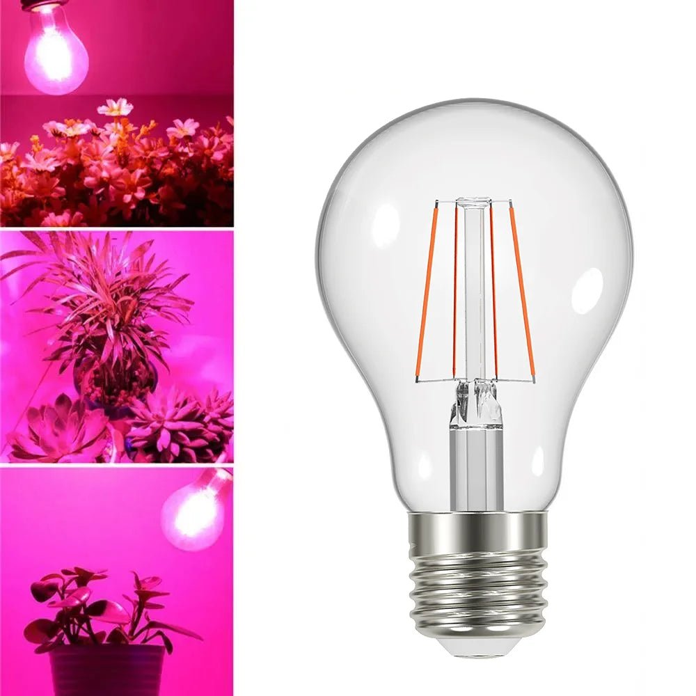 Clear LED light bulb with pink lighting effect on plants