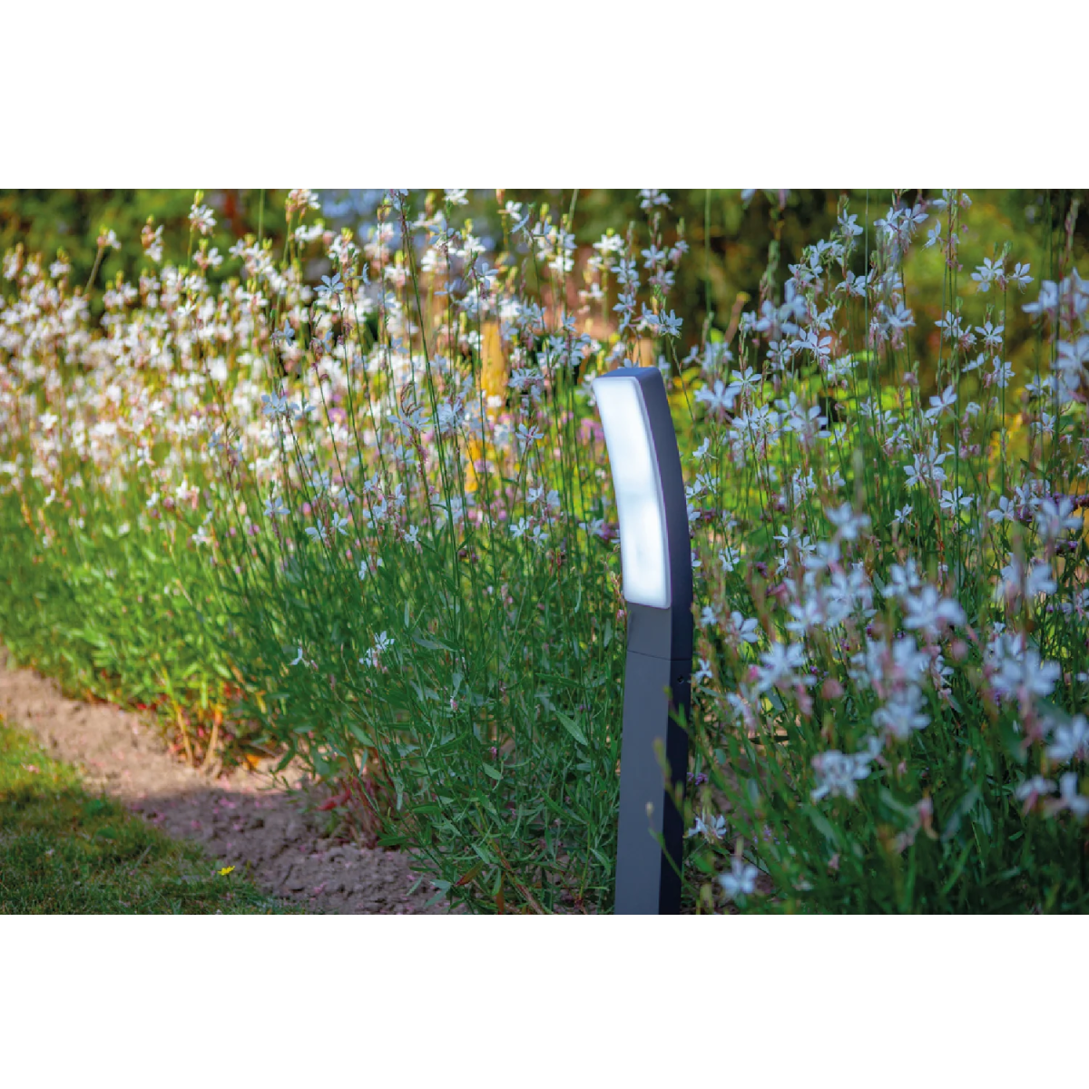 Garden light fixture in a garden setting with flowers and grass.