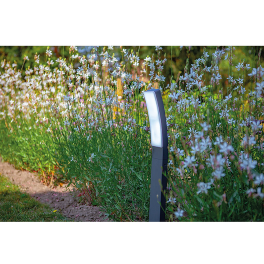 Garden light fixture in a garden setting with flowers and grass.