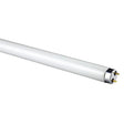 White fluorescent light bulb on a white background