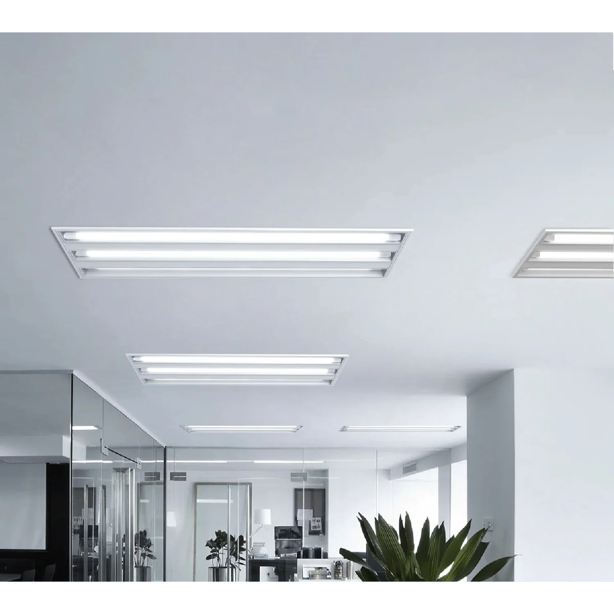 Modern office interior with ceiling lights and a plant.