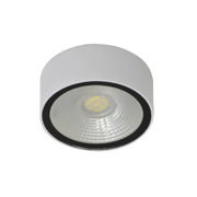 Ultralight Outdoor LED Surface Mounted 8W IP54 (BR2274-RD)