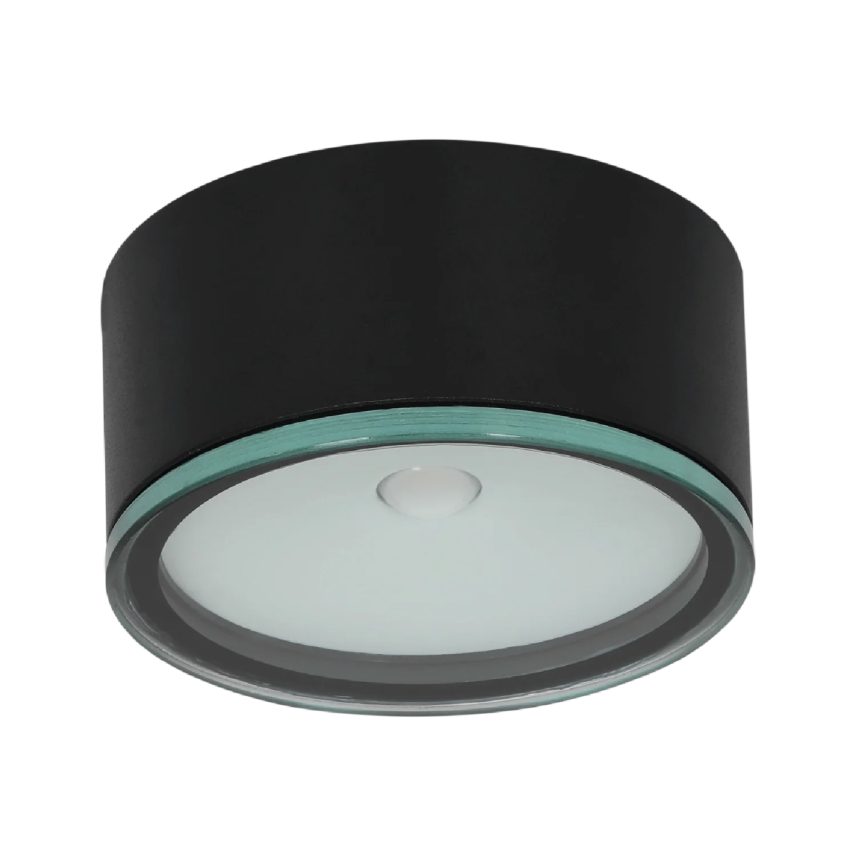 Ultralight Outdoor LED Surface Mounted IP65 (BD390)