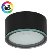 Ultralight Outdoor LED Surface Mounted IP65 (BD390)