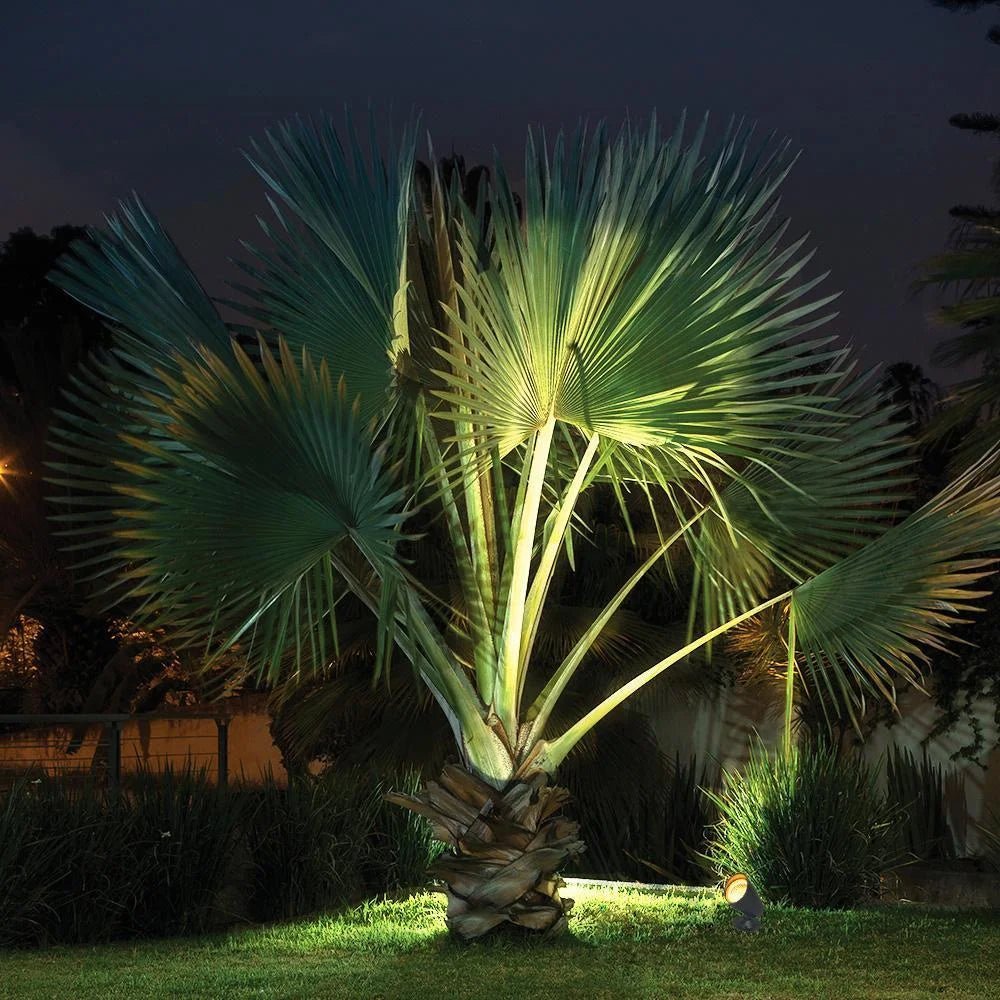 Ultralight Spike Spotlight COB 10W (BD4230)